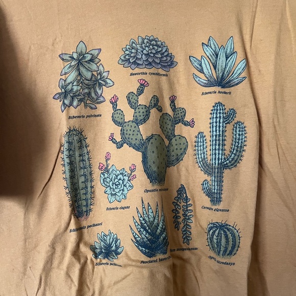 Succulent Tee - Yellow - Picture 2 of 2